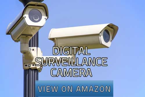 digital surveillance camera image