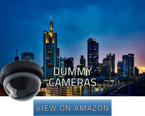 dummy cameras