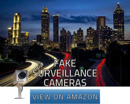 fake surveillance camera